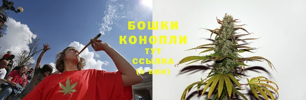 дмт Бронницы