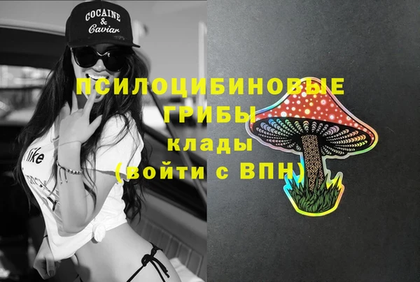 СК Бугульма
