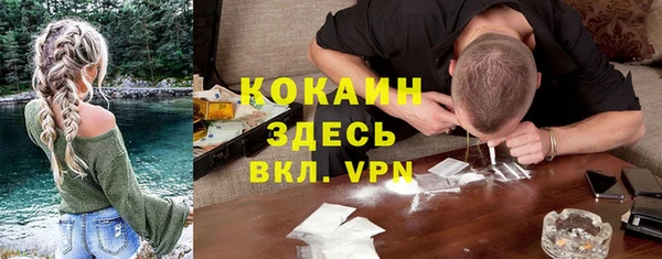 дмт Бронницы