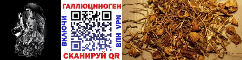 цена   Мытищи  Псилоцибиновые грибы мухоморы 